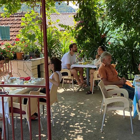 Pensjonat Lotus House Dodosi Zewnętrze zdjęcie
