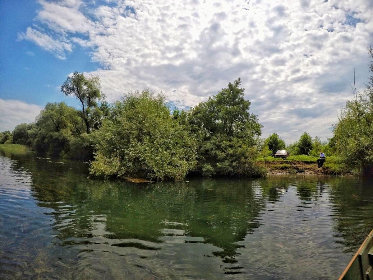 Pensjonat Lotus House Dodosi Zewnętrze zdjęcie